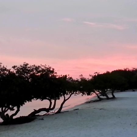 Aruba Surfside Marina Hotel Oranjestad Luaran gambar