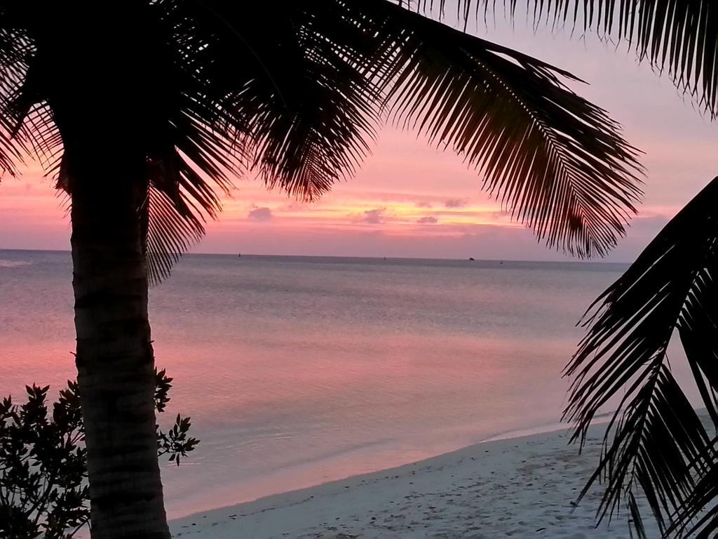 Aruba Surfside Marina Hotel Oranjestad Luaran gambar