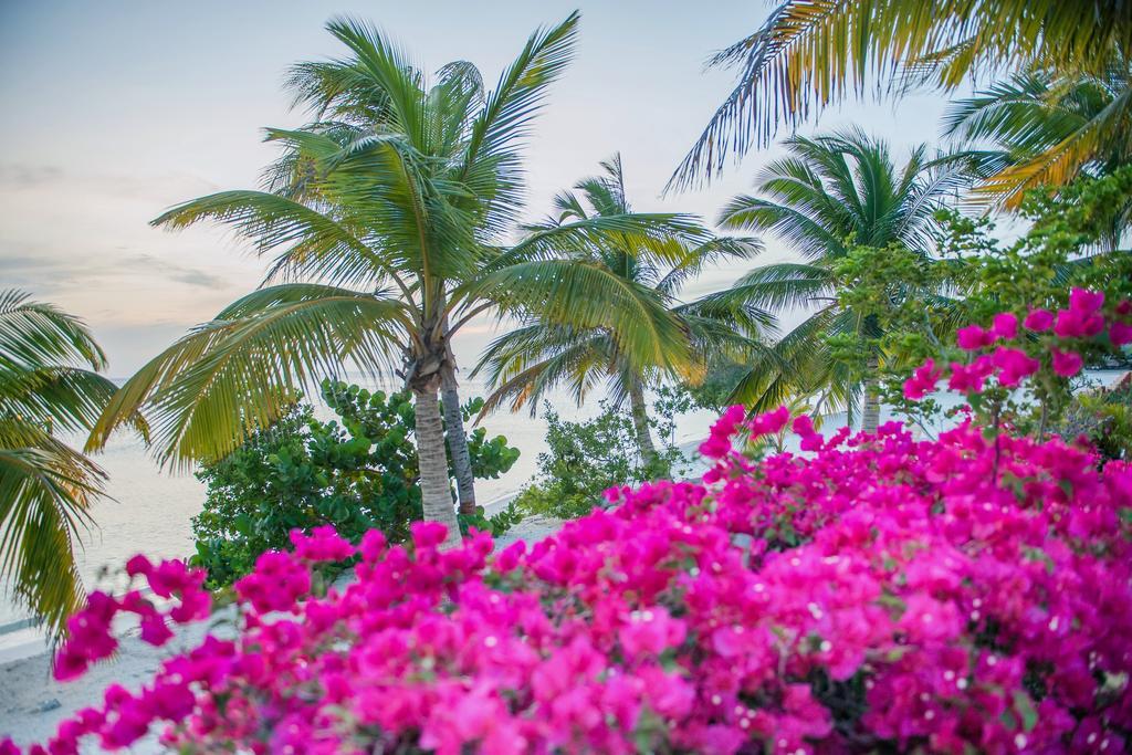 Aruba Surfside Marina Hotel Oranjestad Luaran gambar