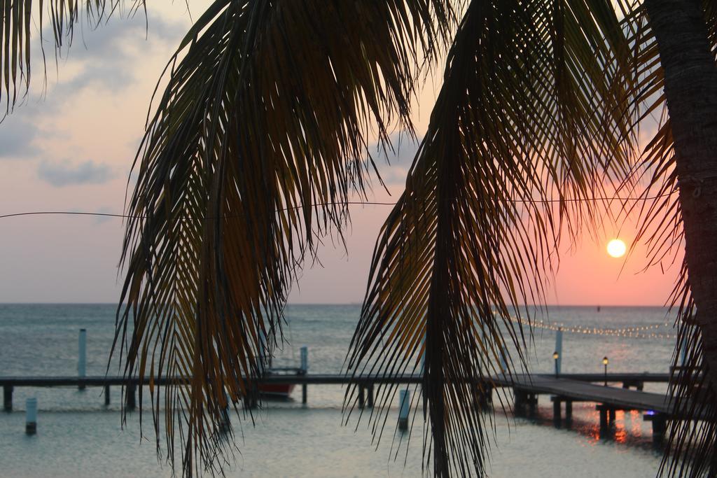 Aruba Surfside Marina Hotel Oranjestad Luaran gambar