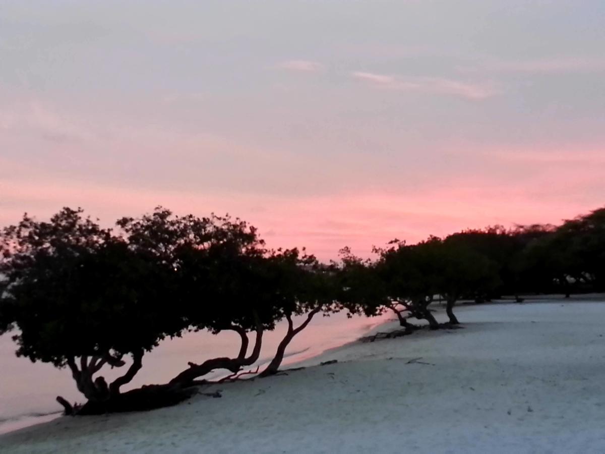 Aruba Surfside Marina Hotel Oranjestad Luaran gambar